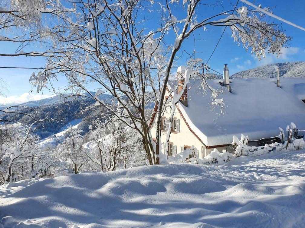 Le Nid Du Kaloui Bed & Breakfast